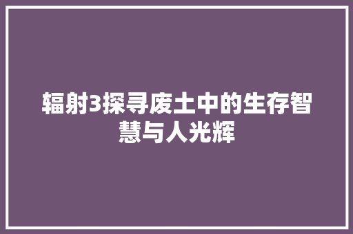 辐射3探寻废土中的生存智慧与人光辉