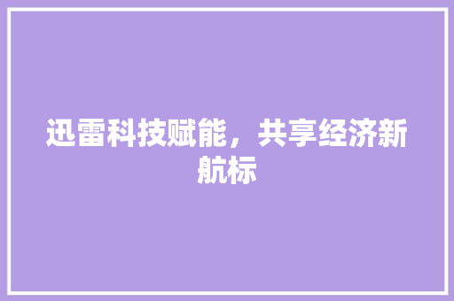 迅雷科技赋能，共享经济新航标