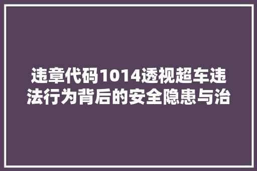 违章代码1014透视超车违法行为背后的安全隐患与治理对策
