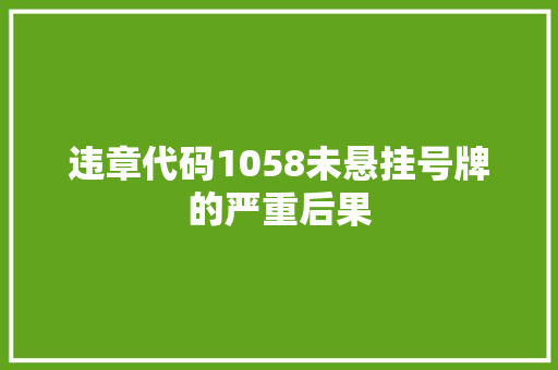 违章代码1058未悬挂号牌的严重后果