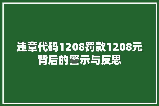 违章代码1208罚款1208元背后的警示与反思