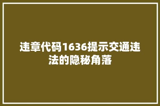 违章代码1636提示交通违法的隐秘角落