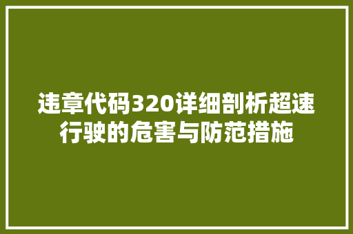 违章代码320详细剖析超速行驶的危害与防范措施