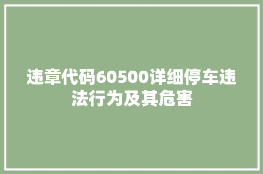 违章代码60500详细停车违法行为及其危害