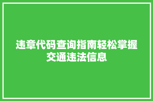 违章代码查询指南轻松掌握交通违法信息