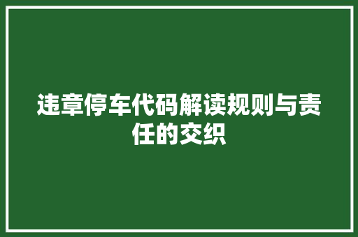 违章停车代码解读规则与责任的交织