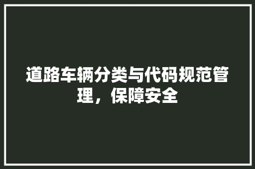 道路车辆分类与代码规范管理，保障安全