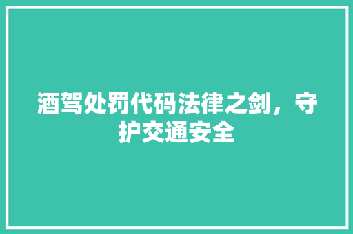 酒驾处罚代码法律之剑，守护交通安全