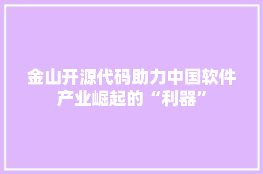 金山开源代码助力中国软件产业崛起的“利器”