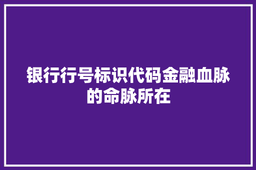 银行行号标识代码金融血脉的命脉所在