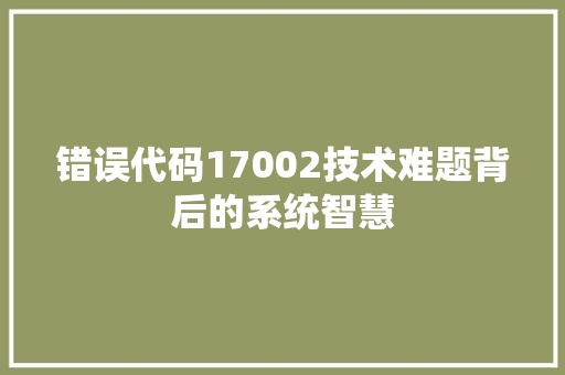 错误代码17002技术难题背后的系统智慧