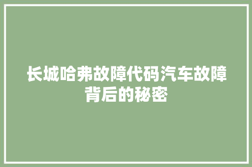 长城哈弗故障代码汽车故障背后的秘密