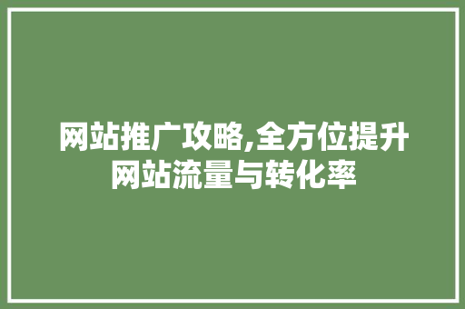 网站推广攻略,全方位提升网站流量与转化率