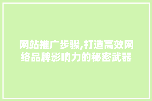 网站推广步骤,打造高效网络品牌影响力的秘密武器