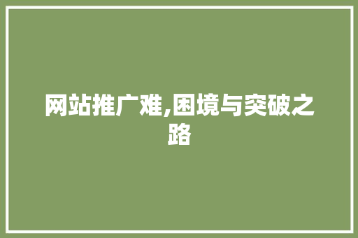 网站推广难,困境与突破之路