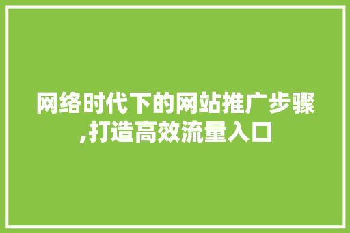 网络时代下的网站推广步骤,打造高效流量入口