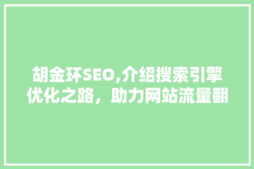 胡金环SEO,介绍搜索引擎优化之路，助力网站流量翻倍
