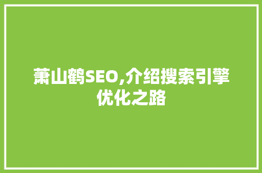 萧山鹤SEO,介绍搜索引擎优化之路