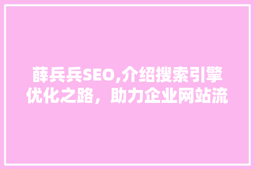 薛兵兵SEO,介绍搜索引擎优化之路，助力企业网站流量提升