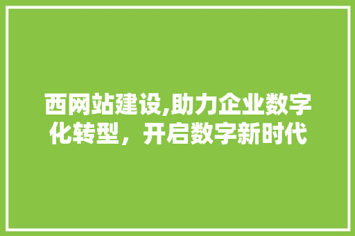 西网站建设,助力企业数字化转型，开启数字新时代