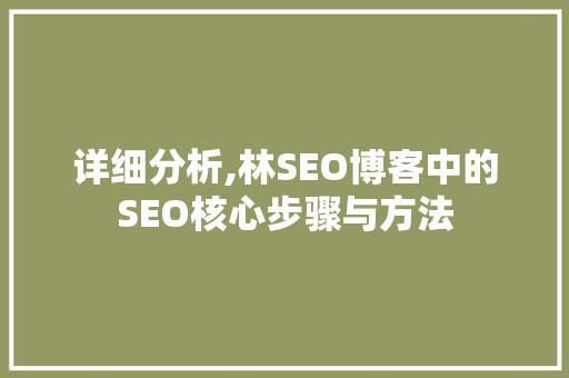 详细分析,林SEO博客中的SEO核心步骤与方法