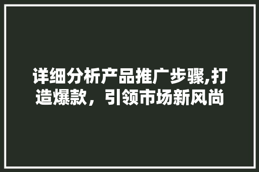 详细分析产品推广步骤,打造爆款，引领市场新风尚