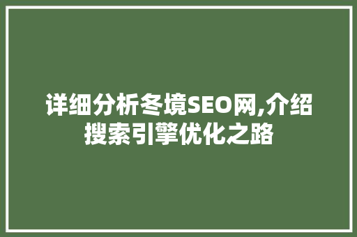 详细分析冬境SEO网,介绍搜索引擎优化之路