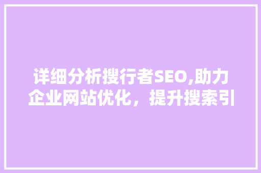 详细分析搜行者SEO,助力企业网站优化，提升搜索引擎排名