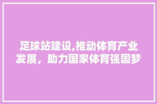 足球站建设,推动体育产业发展，助力国家体育强国梦