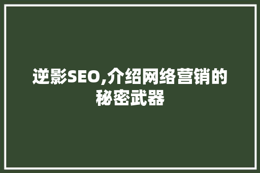 逆影SEO,介绍网络营销的秘密武器