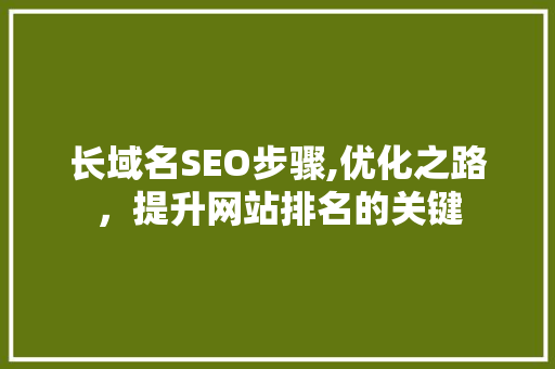 长域名SEO步骤,优化之路，提升网站排名的关键