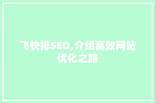 飞快排SEO,介绍高效网站优化之路