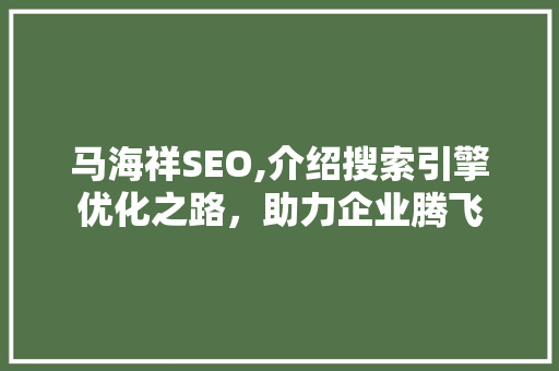 马海祥SEO,介绍搜索引擎优化之路，助力企业腾飞