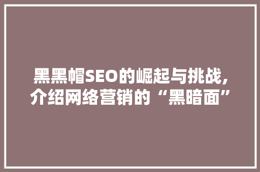 黑黑帽SEO的崛起与挑战,介绍网络营销的“黑暗面”