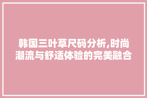韩国三叶草尺码分析,时尚潮流与舒适体验的完美融合