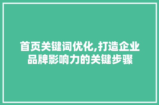 首页关键词优化,打造企业品牌影响力的关键步骤