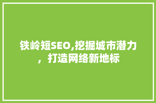铁岭短SEO,挖掘城市潜力，打造网络新地标 软件技术
