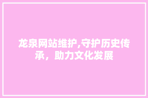 龙泉网站维护,守护历史传承，助力文化发展