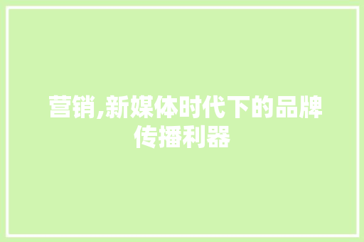  营销,新媒体时代下的品牌传播利器
