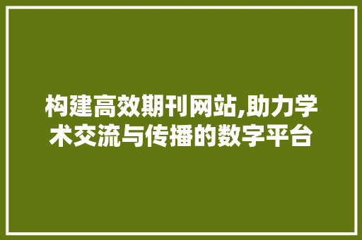 构建高效期刊网站,助力学术交流与传播的数字平台