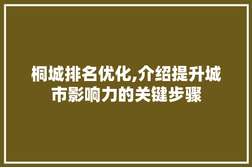 桐城排名优化,介绍提升城市影响力的关键步骤