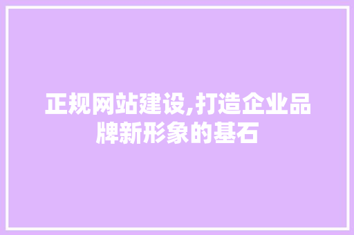 正规网站建设,打造企业品牌新形象的基石