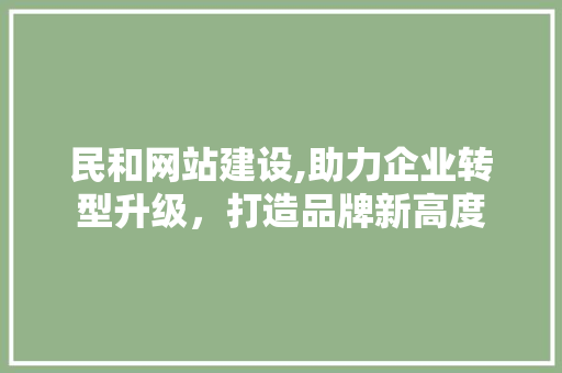 民和网站建设,助力企业转型升级，打造品牌新高度