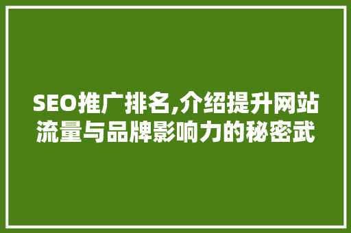 SEO推广排名,介绍提升网站流量与品牌影响力的秘密武器