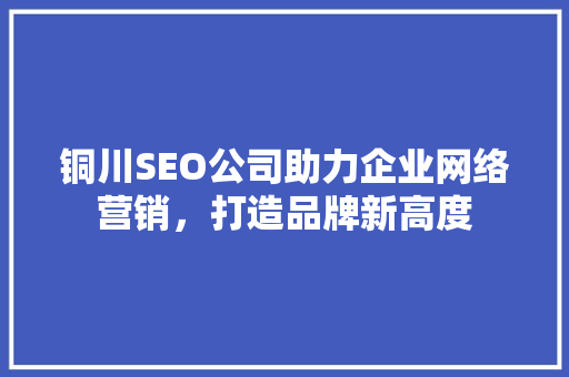 铜川SEO公司助力企业网络营销，打造品牌新高度
