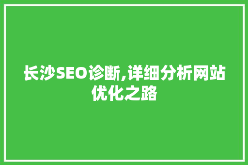 长沙SEO诊断,详细分析网站优化之路