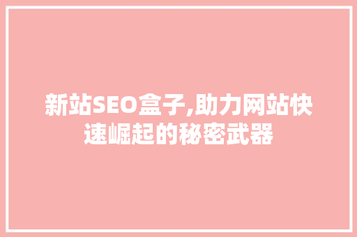新站SEO盒子,助力网站快速崛起的秘密武器