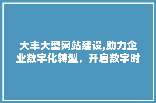 大丰大型网站建设,助力企业数字化转型，开启数字时代新篇章