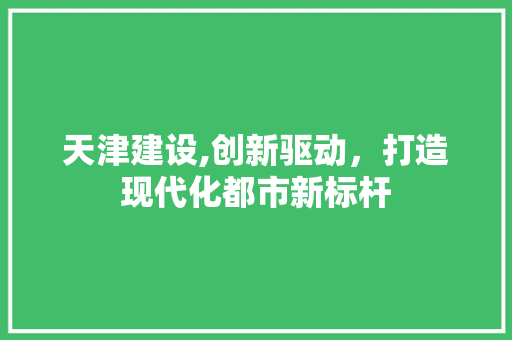 天津建设,创新驱动，打造现代化都市新标杆