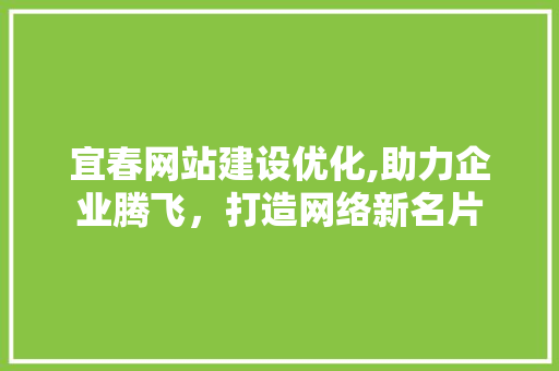 宜春网站建设优化,助力企业腾飞，打造网络新名片